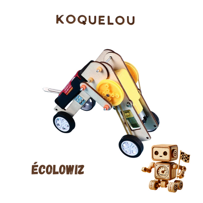 KoqueBolide